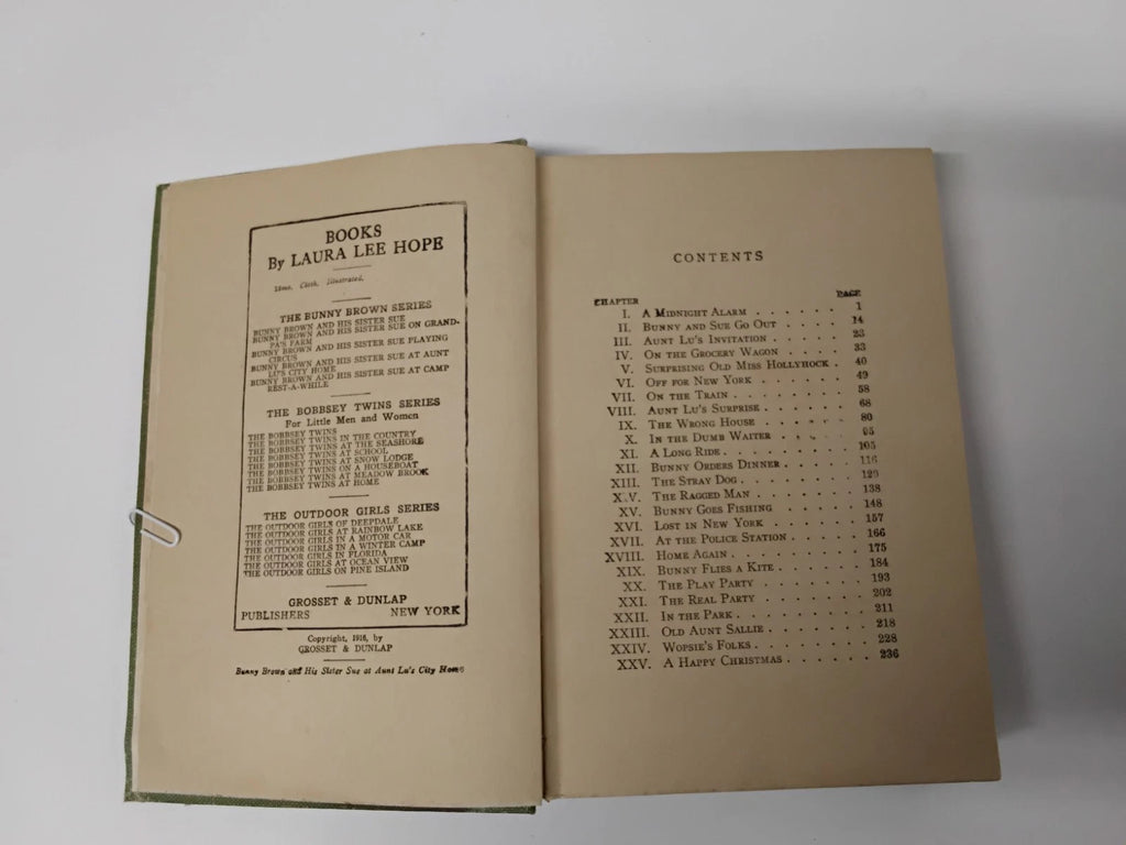 Set Of 3: 1916 Bunny Brown Childrens Books