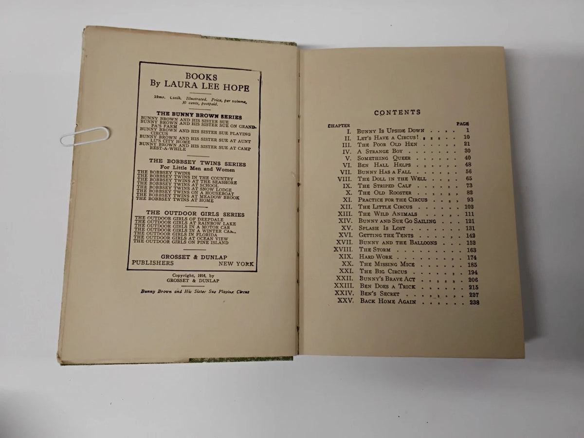 Set Of 3: 1916 Bunny Brown Childrens Books