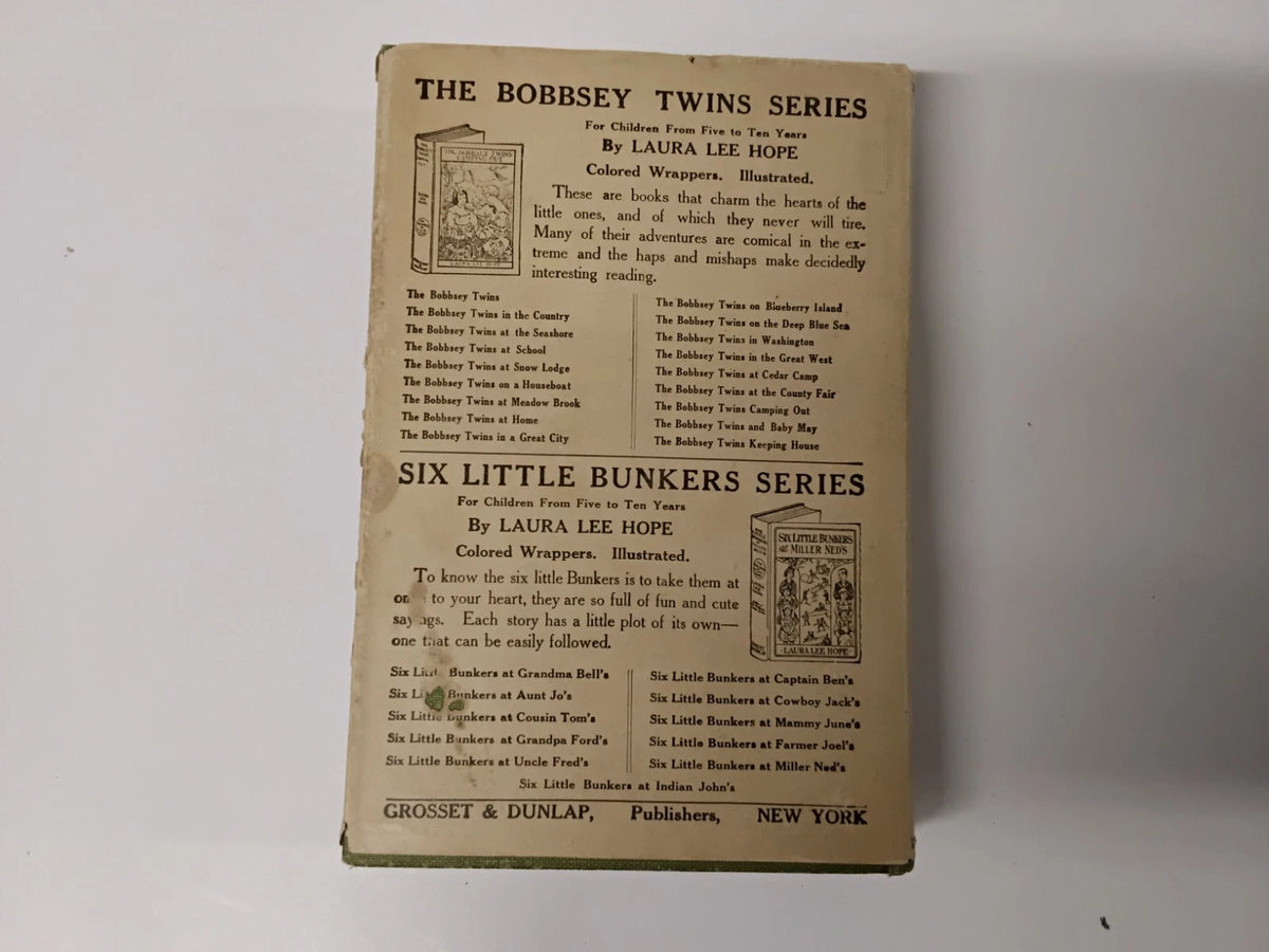Set Of 3: 1916 Bunny Brown Childrens Books